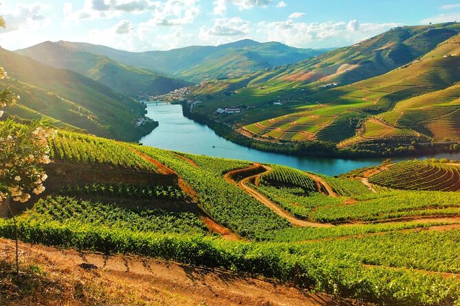 Douro Valley - Relaxed Departure from Porto - Key things to know before you go
