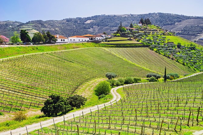 Douro Valley - Relaxed Departure from Porto - Meeting at Igreja da Lapa: How to Avoid the Morning Rush