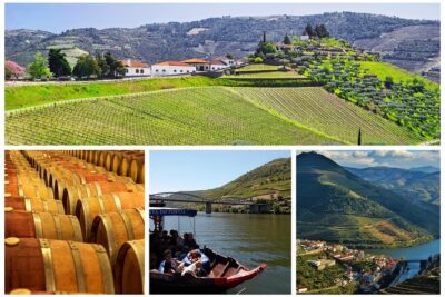 Douro Valley - Relaxed Departure from Porto - Air-Conditioned Van Comfort and On-Board WiFi