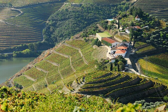 Douro Valley - Relaxed Departure from Porto - Stop 2: Santa Marta de Penaguiao Port Tasting