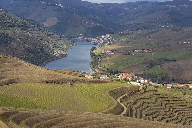Douro Valley Tour: 2 Vineyard Visits, River Cruise, Winery Lunch - Leaving Porto at 8:30: what the ride is like (and why it matters)