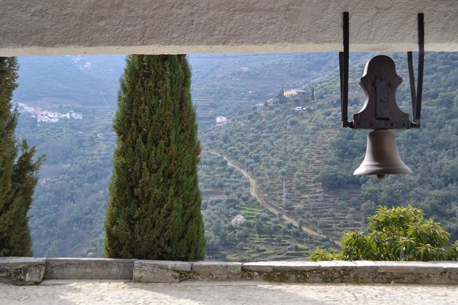 Douro Valley Tour: 2 Vineyard Visits, River Cruise, Winery Lunch - Sabrosa winery lunch with 4 courses and port cellar time