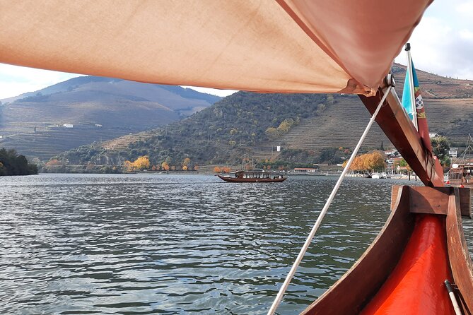 Douro Valley Tour - 3 Wine tastings, Lunch & river Cruise - The Douro Valley viewpoints: short photo breaks that actually help