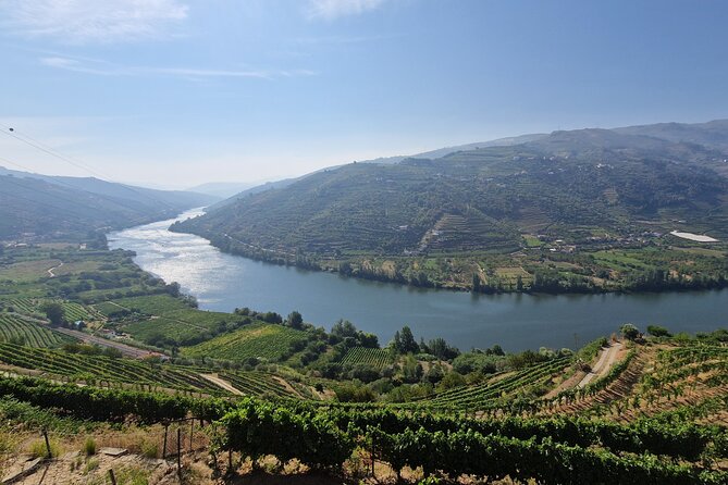 Douro Valley Tour: Wine Tasting River Cruise and Lunch from Porto - Porto Morning Meets the Douro: Largo do Actor Dias Start