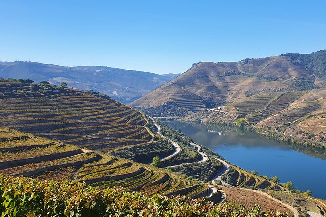 Douro Valley Tour: Wine Tasting River Cruise and Lunch from Porto - Lunch and the Wine-Farm Tasting: The Part With Real Flavor