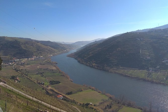 Douro Valley Tour: Wine Tasting River Cruise and Lunch from Porto - Barco Rebelo Douro Cruise: The Best Break in the Schedule