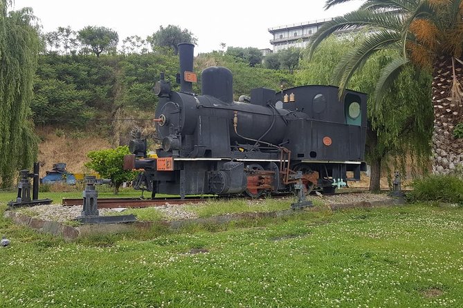 Douro Valley Tour: Wine Tasting River Cruise and Lunch from Porto - Who This Douro Day Trip Is Perfect For