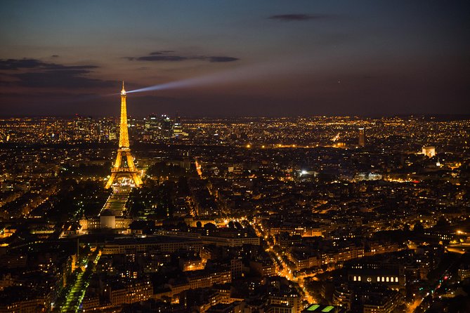 Eiffel Tower and City Tour by Bus with Seine River Cruise Option - Meeting Point and Real-World Logistics at Place de Sydney