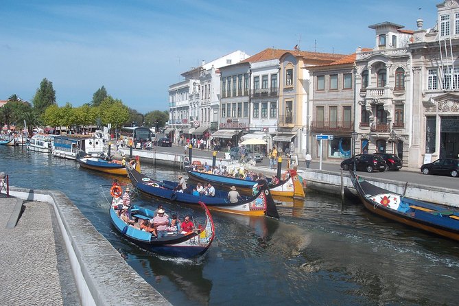 Explore Porto & Aveiro within Riverboat Cruises - Private Full Day Tour from Lisbon with Lunch - Why this Lisbon-to-Porto-and-Aveiro day feels worth it