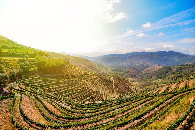 Full Day, Wine Tasting, River Cruise and Lunch from Porto - Key points to know before you go