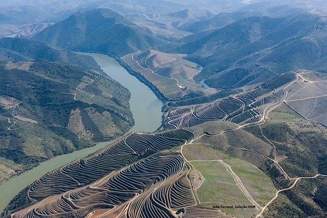 Full Day, Wine Tasting, River Cruise and Lunch from Porto - Why this Douro tour feels smart for a limited-time trip
