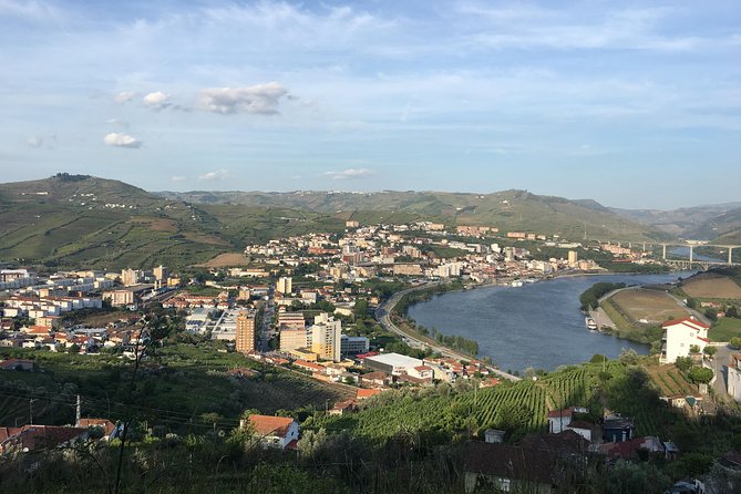 Full Day, Wine Tasting, River Cruise and Lunch from Porto - The wine tastings: how to make them enjoyable instead of tiring