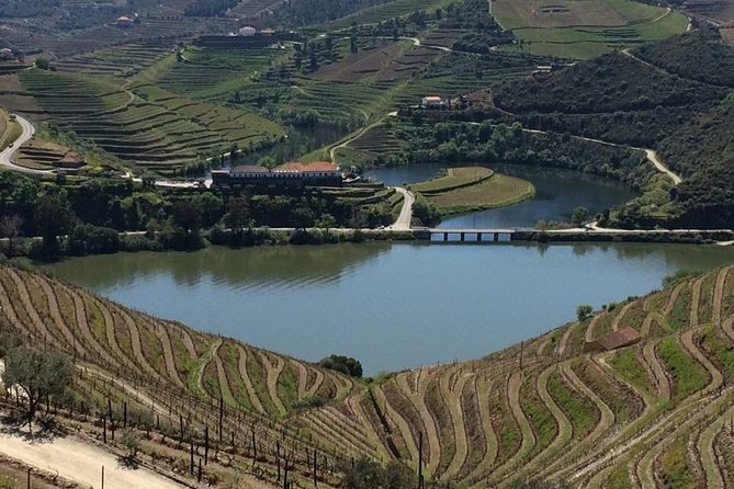 Full Day, Wine Tasting, River Cruise and Lunch from Porto - Price and value: is $98.33 worth it?
