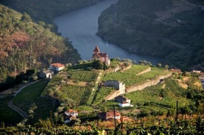 Genuine Douro Valley Tour: Visit 2 Wineries, Lunch & River Cruise - Key things I think you should know before you go