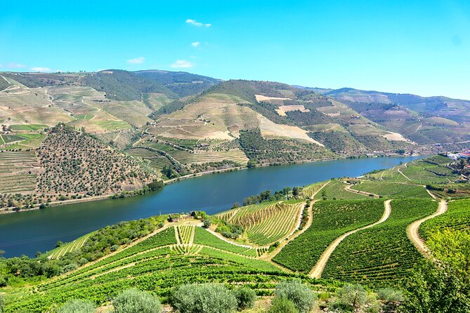 Genuine Douro Valley Tour: Visit 2 Wineries, Lunch & River Cruise - Quinta do Tedo: the first tasting with river-view energy