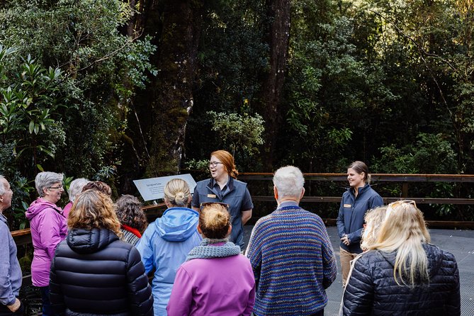 Gordon River Cruise departing from Strahan - Weather and comfort: what to pack for western Tasmania
