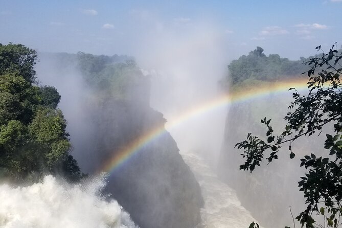 Guided Falls Tour & Zambezi River Cruise Combo - Key highlights
