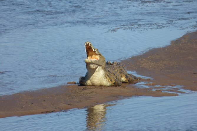 Guided Falls Tour & Zambezi River Cruise Combo - Group size and guide style: what you gain with up to 20 people
