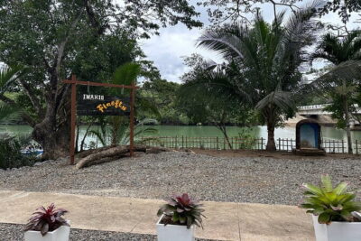 Iwahig River Cruise and Firefly Watching Tour in Puerto Princesa - Getting There From Puerto Princesa: Pickup, Van Ride, and Timing