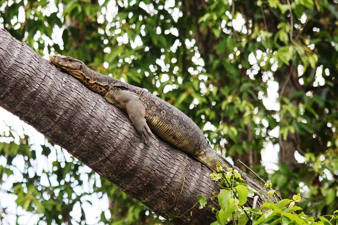 Klias Wildlife Safari River Cruise from Kota Kinabalu - Getting there from Kota Kinabalu: drive time and comfort reality