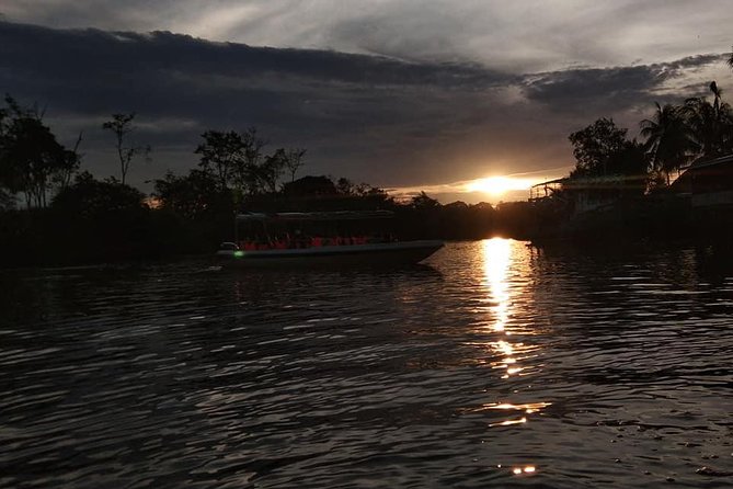 Klias Wildlife Safari River Cruise from Kota Kinabalu - Sunset wildlife cruise: What you look for on the water