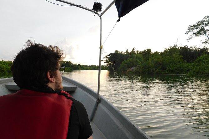 Klias Wildlife Safari River Cruise - Proboscis Monkey & Fireflies - The daytime river safari: where proboscis monkeys actually show up