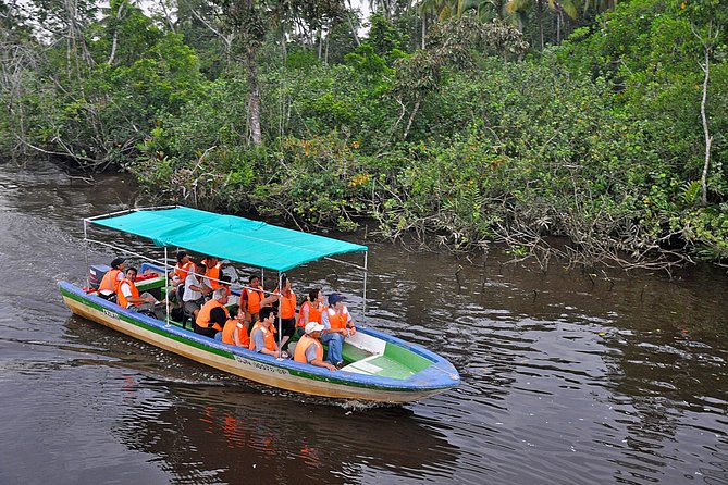 Klias Wildlife Safari River Cruise - Proboscis Monkey & Fireflies - Group size and pacing: small enough for attention, big enough for atmosphere