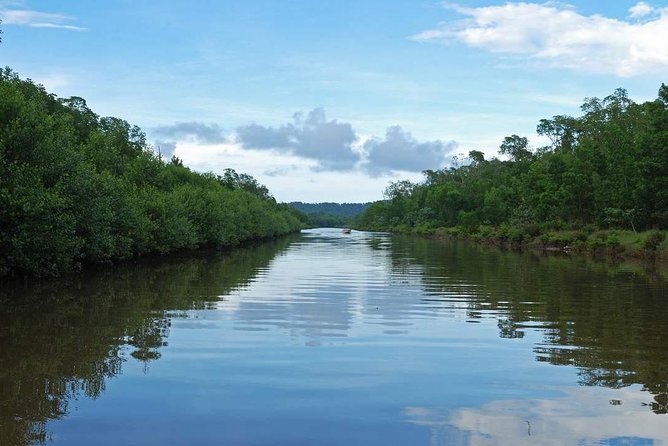Kota Kinabalu K2 Fireflies Sunset River Cruise Tour with Dinner - The Dinner Break: Included, But Quality Can Vary