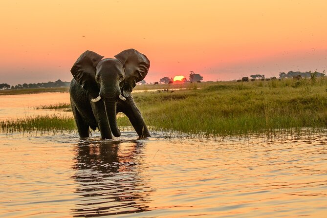 Luxury Sunset River Cruise on the Zambezi - The Crew, the Welcome, and the Little Details That Matter