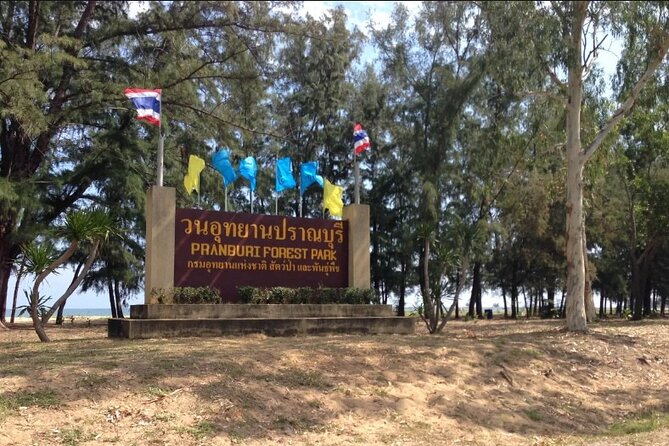 Mangrove Forest Hike and River Boat Ride with Private Guide from Hua Hin - What the private guide changes (in a good way)