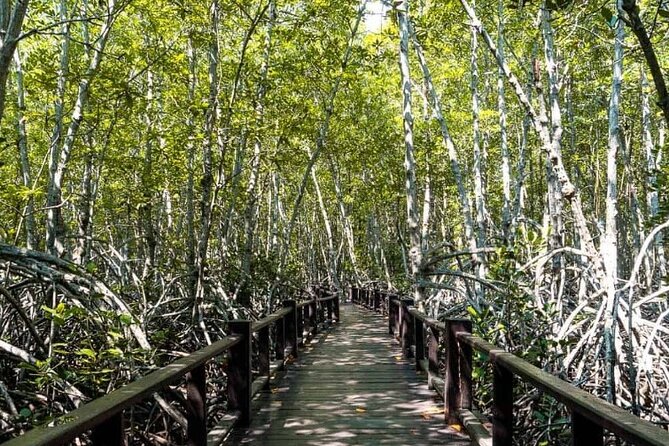 Mangrove Forest Hike and River Boat Ride with Private Guide from Hua Hin - Pranburi River boat ride: seeing the ecosystem from water level