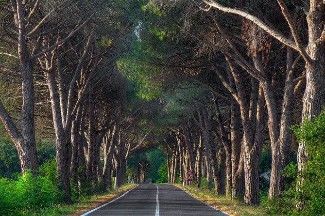 Marmaris Yuvarlakcay Tour With Lunch and Akyaka River Cruise - Who should book this tour