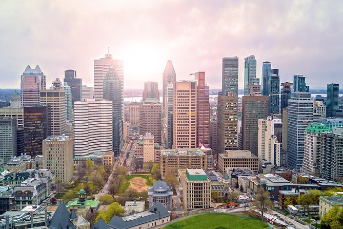 Montreal Premium Driving Tour with River Cruise and Notre Dame - Stop 2: Mont-Royal and the lookout panorama