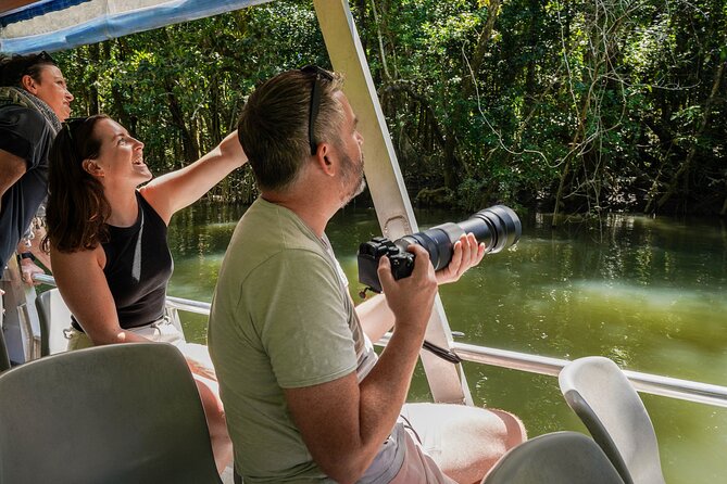 Morning Daintree Tour with River Cruise from Port Douglas - Morning tea with Lamingtons: the small break that keeps the pace easy