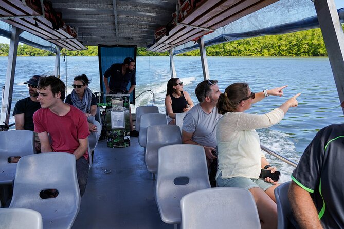 Morning Daintree Tour with River Cruise from Port Douglas - Captain Cook Highway setup: the drive that gets you oriented