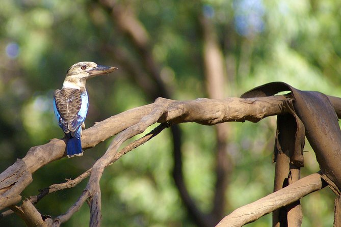 Ord River Cruise Experience with Riverside Lunch - Argyle Downs Homestead Museum: a short history break that doesn’t drag