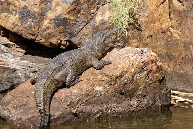 Ord River Cruise Experience with Riverside Lunch - What to wear and bring for a windy, sunny boat day