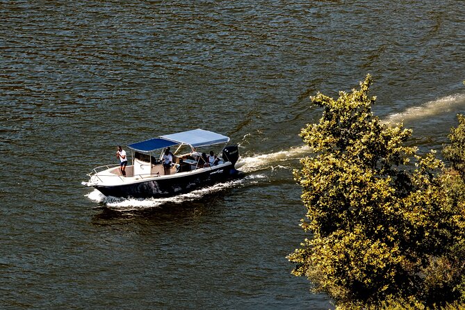 Pinhão: Douro River Cruise with Lunch Included - Entering Pinhão by Train Tiles and Terraced Wine Views