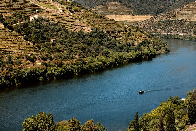 Pinhão: Douro River Cruise with Lunch Included - The Scenic Return by Train: Cheap Ticket, Big Payoff