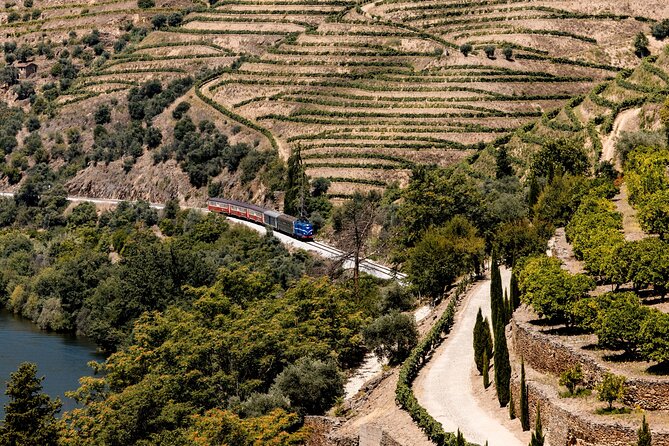 Pinhão: Douro River Cruise with Lunch Included - Guides and Crew: Why the Human Factor Matters