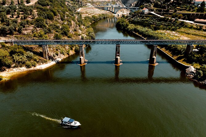 Pinhão: Douro River Cruise with Lunch Included - Value for Money: Does $102.12 Add Up?