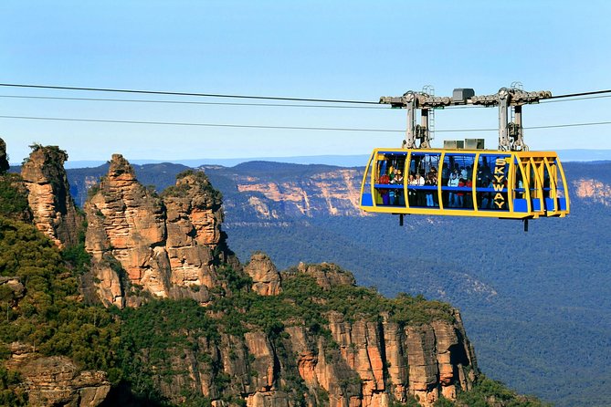 PRIVATE Blue Mountains Tour, Wildlife Park and River Cruise - Key Things Worth Knowing Before You Go
