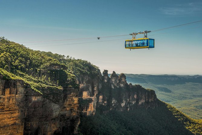 PRIVATE Blue Mountains Tour, Wildlife Park and River Cruise - A Private Blue Mountains Day Built Around Wildlife and Big Views