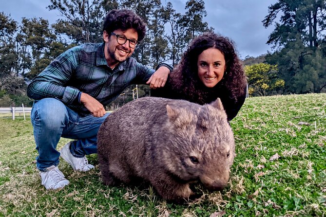 PRIVATE Blue Mountains Tour, Wildlife Park and River Cruise - Grand Canyon Views and Waterfall Time at Wentworth Falls