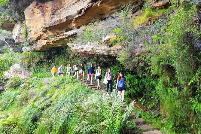 PRIVATE Blue Mountains Tour, Wildlife Park and River Cruise - Blue Mountains National Park: World Heritage Scenery Time