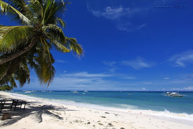 Private Bohol and Chocolate Hills with Loboc River Cruise - Philippine Tarsier and Wildlife Sanctuary in Corella (stop 1)