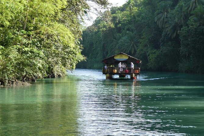 Private Bohol and Chocolate Hills with Loboc River Cruise - Loboc River cruise lunch: how the schedule stays fun (stop 3)