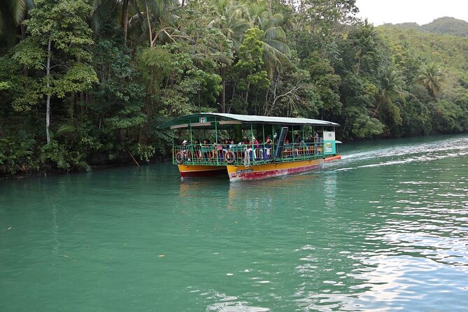 Private Bohol and Chocolate Hills with Loboc River Cruise - Who should book this private Bohol day?