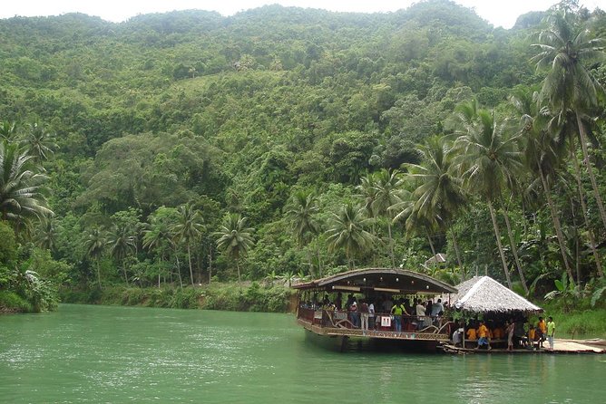 Private Bohol and Chocolate Hills with Loboc River Cruise - Bilar man-made Mahogany Forest and the Chocolate Hills Natural Monument (stop 2)