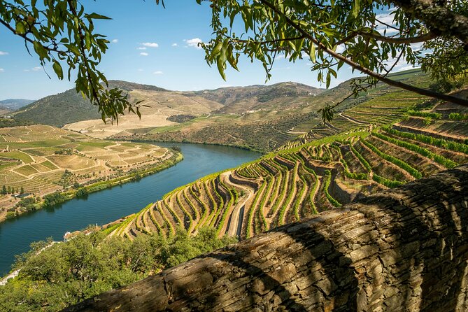 Private Douro Valley Tour: Boutique Winery & River Cruise - Key Things to Know Before You Go
